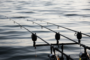 Fishing rod bait indicators carbon rod tube