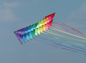Colourful kites with carbon frames