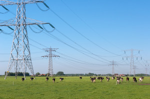 For power pylons, carbon can provide an alternative for steel